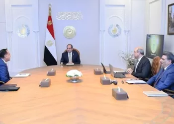 Sisi urges expansion of strategic partnerships to attract investment in civil aviation