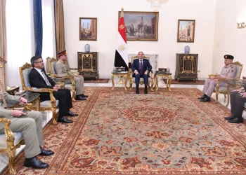 Sisi, Pakistani military chief review regional peace efforts