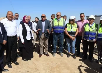 Sisi supports strategic Egypt–Saudi power grid connection