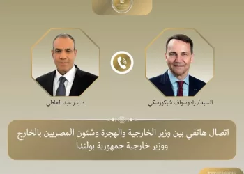 FM calls for full implementation of Gaza ceasefire deal