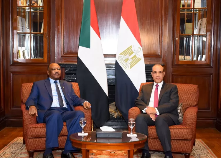 FM asserts Egypt’s commitment to Sudan’s unity, sovereignty, territorial integrity 2 - Egyptian Gazette FM asserts Egypt’s commitment to Sudan’s unity, sovereignty, territorial integrity 1 - Egyptian Gazette