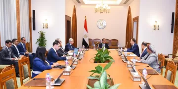 FM stresses importance of strengthening Egypt’s role in African, regional affairs