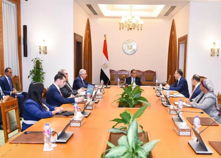 FM stresses importance of strengthening Egypt’s role in African, regional affairs 1 - Egyptian Gazette