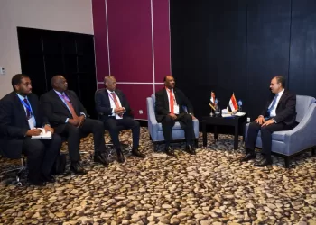 Egypt, Sudan affirm total rejection of unilateral actions on Nile River