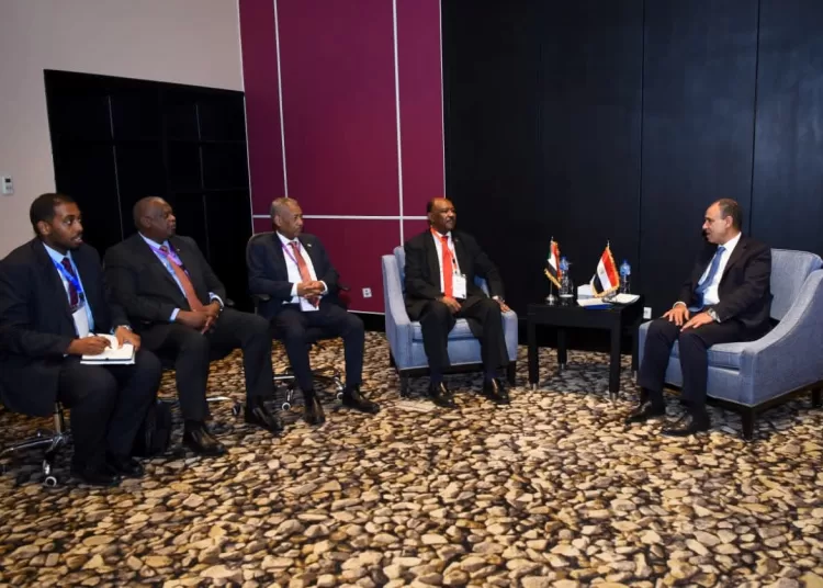 Egypt, Sudan affirm total rejection of unilateral actions on Nile River 1 - Egyptian Gazette