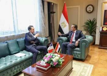 Egypt, France agree on implementing humanitarian aid plan for Gaza 