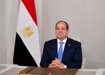 Sisi says Africa can help reshape global order amid rising challenges