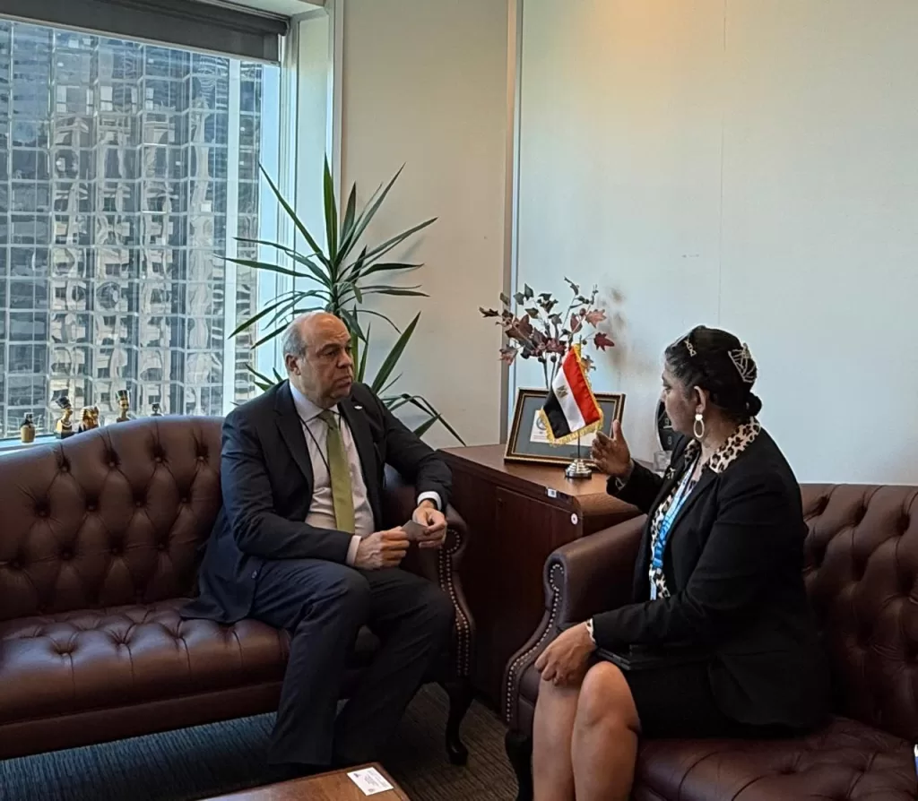 Египет обеспечивает место в совете Икао, укрепляя роли 12 -го авиационного лидерства 12 - Египетская газетта Египет обеспечивает место в совете Икао, укрепляя глобальное авиационное лидерство. Роль 11 - Египетская газета