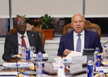 Egypt, Sudan discuss development plan of Nile Valley Authority for River Navigation