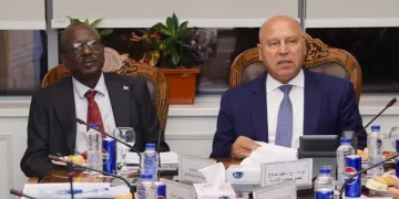 Egypt, Sudan discuss development plan of Nile Valley Authority for River Navigation