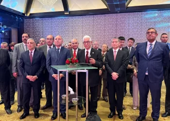 Egypt, China advance strategic partnership