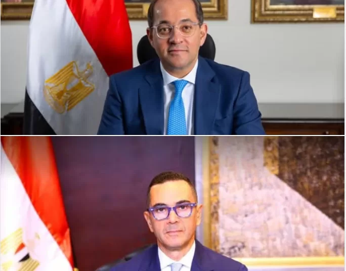 Finance, Investment ministers to develop export system similar to logistics services centres 1 - Egyptian Gazette