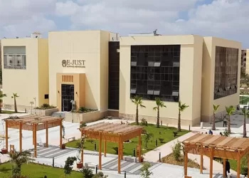 E-JUST among only 4 Arab universities with top research score