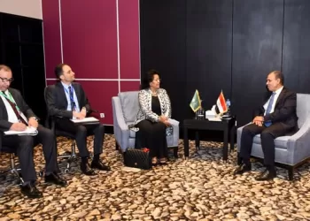 FM lauds coordination with NEPAD during Egypt’s presidency