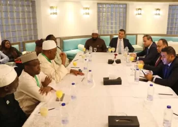 Agriculture min., Nigerian delegation review boosting coop.