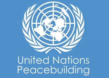 Egypt welcomes adoption of UN PBAR