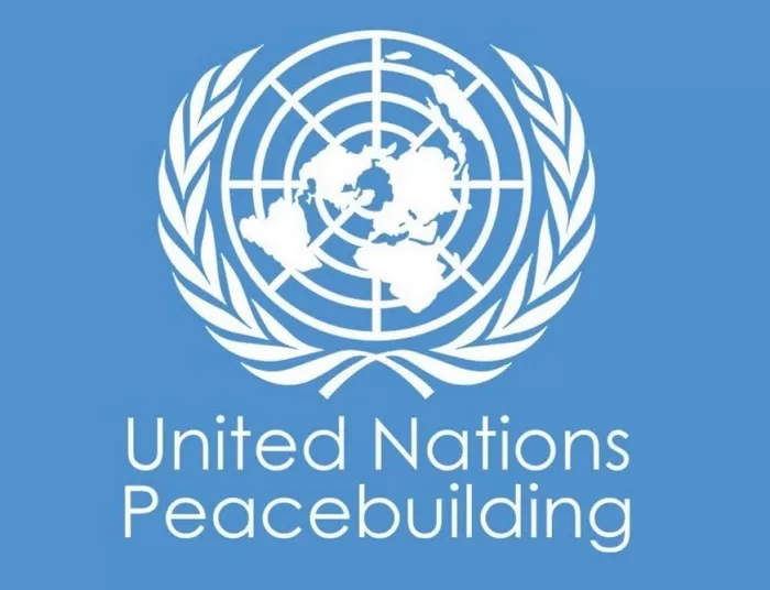 Egypt welcomes adoption of UN PBAR 1 - Egyptian Gazette