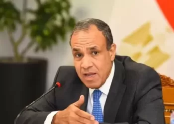 Egypt’s resilience, vision of leadership contributed to national stability, peace efforts