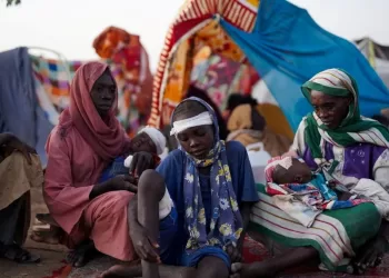 Sudan envoy urges EU to pressure RSF, calls for sanctions over violence in El-Fasher