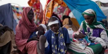 Sudan envoy urges EU to pressure RSF, calls for sanctions over violence in El-Fasher