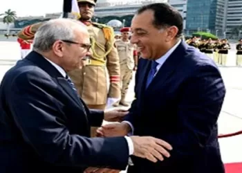 PMs of Egypt, Lebanon co-chair higher committee meetings