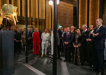 Sisi’s GEM speech grabs global spotlight