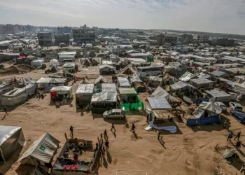 Egyptian committee in Gaza: Immediate response to support displacement camps as winter begins