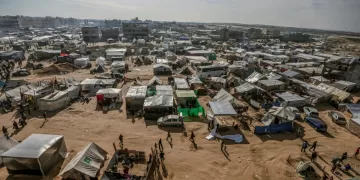 Egyptian committee in Gaza: Immediate response to support displacement camps as winter begins