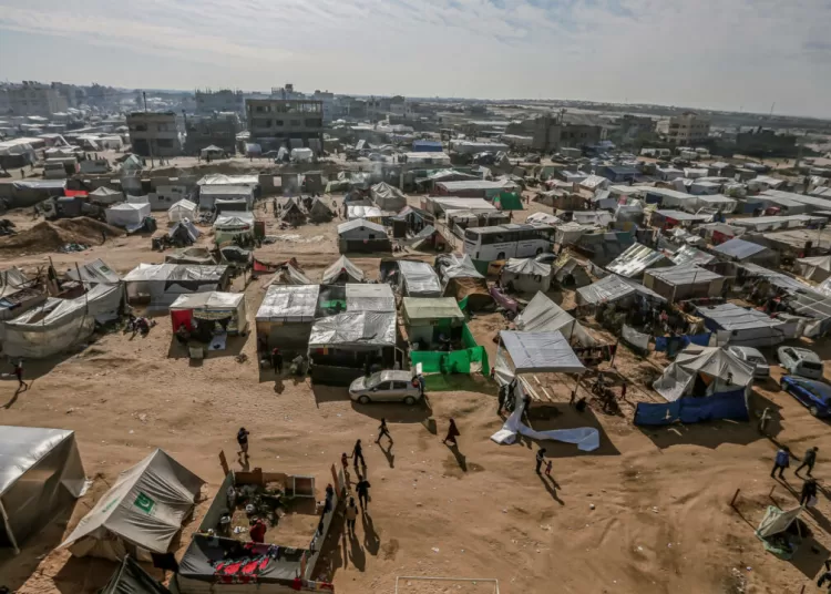 Egyptian committee in Gaza: Immediate response to support displacement camps as winter begins 1 - Egyptian Gazette