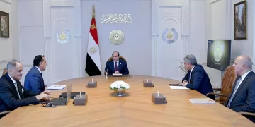 Sisi calls for expanded incentives for energy, mining investors