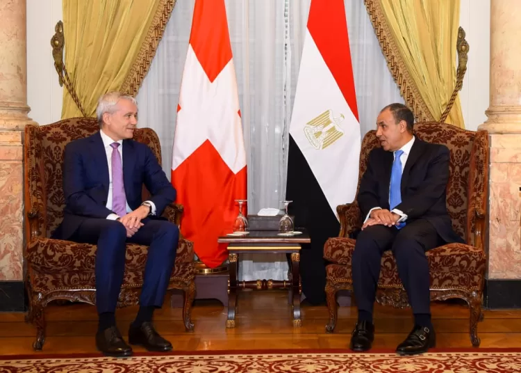 Egypt, Switzerland discuss boosting cooperation 1 - Egyptian Gazette