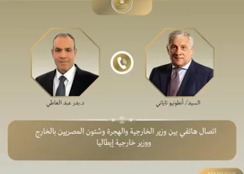 Egyptian, Italian FMs stress importance of implementing UNSC resolution on Gaza