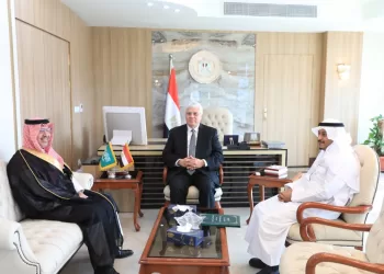 Higher education minister discusses boosting academic cooperation with Saudi Arabia