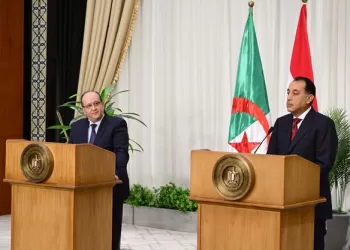 Madbouli: Egyptian-Algerian relations based on values, common principles