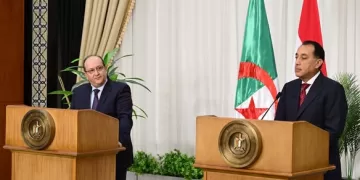 Madbouli: Egyptian-Algerian relations based on values, common principles