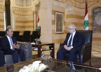 FM meets Lebanese PM for talks on security, bilateral cooperation