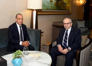FM reiterates Egypt’s unwavering support of Lebanon’s unity, sovereignty