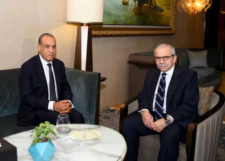FM reiterates Egypt's unwavering support of Lebanon's unity, sovereignty 1 - Egyptian Gazette