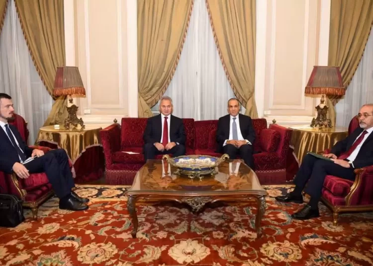 Cairo, Moscow discuss Gaza, Ukraine and joint projects 1 - Egyptian Gazette