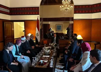 FM says State attaches utmost care to Egyptians abroad