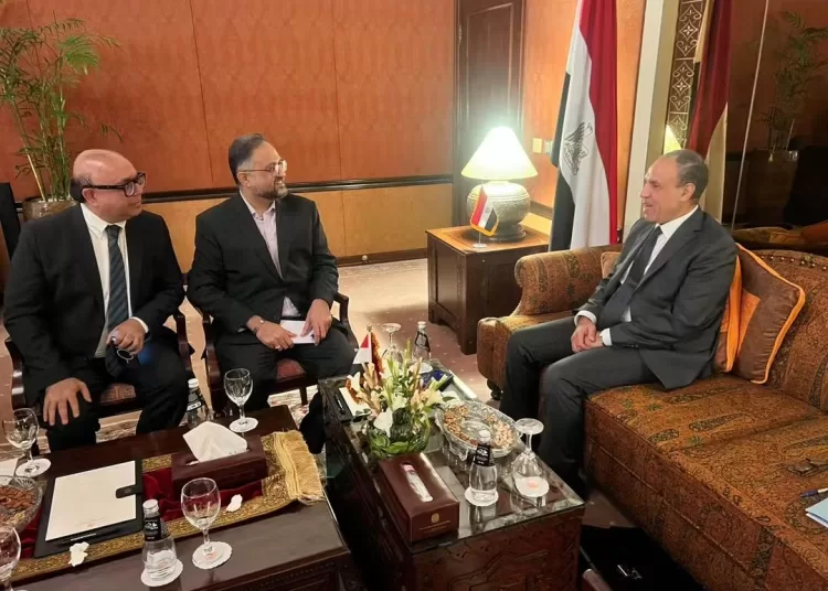 FM discusses bilateral relations, Gaza developments in media interview in Pakistan 1 - Egyptian Gazette