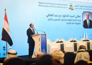 FM says Sisi pays great attention to deepening Egypt-Gulf co-operation