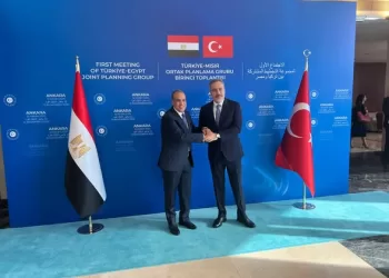Egyptian, Turkish FMs affirm commitment to advancing bilateral relations