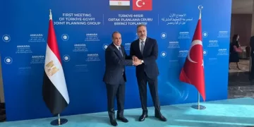 Egyptian, Turkish FMs affirm commitment to advancing bilateral relations