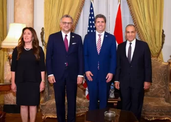 Egypt, US hold round of strategic dialogue on African issues