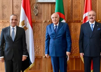 FM: Libya’s security integral part of Egyptian, Arab national security