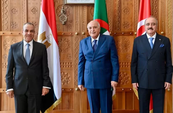 FM: Libya’s security integral part of Egyptian, Arab national security