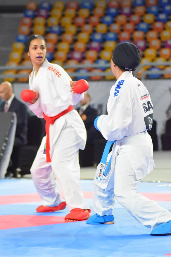 Egypt storms quarterfinals on historic opening day of World Karate Championships 5 - Egyptian Gazette