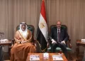 Egypt, UAE discuss boosting co-operation in fields of training, labor mobility