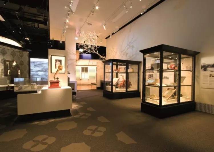 Museum Showcase Manufacturers: Elevating Exhibition Standards with Customized Museum Display Cases